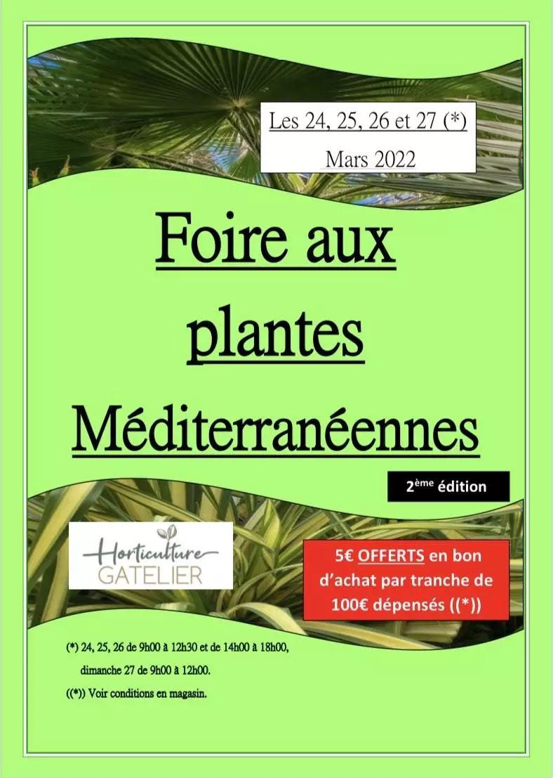 Foire aux plantes Méditerranéennes